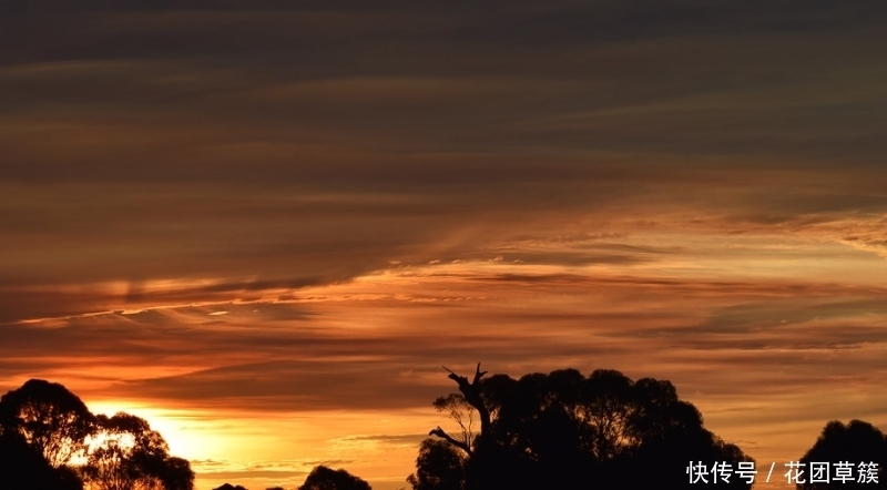 生肖|8月开始财运上佳,财运滚滚到,收入攀升的四大生肖
