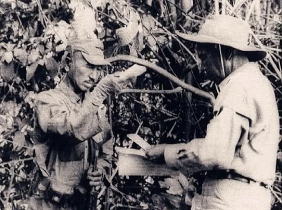 乃不知有汉,无论魏晋!因晚来的29年,他成