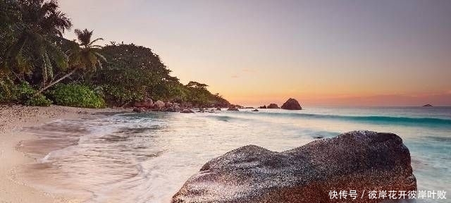 句子|珍藏许久对现实的引用,经典的句子,让你了解了很多真理