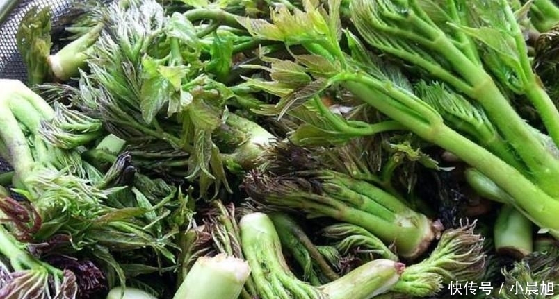 卖到|争议性最大的蔬菜, 外国人当宝, 南方人当害树, 年节一斤卖到40元