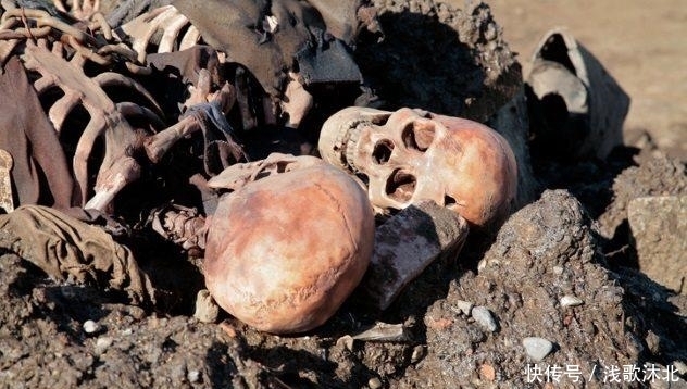  事迹|10个残忍的事迹