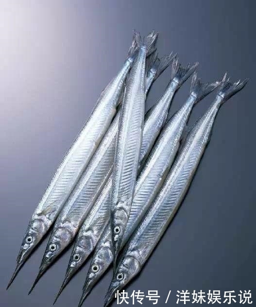 海鲜|海鲜大全, 你能认出多少