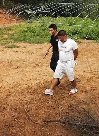 当场|躲进山林干这事无人机+100余名民警出动当场抓获42人