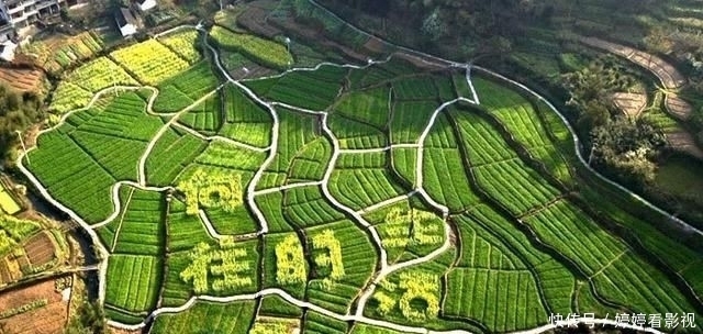 黄晓明|《向往》第四季,最担心的事情还是发生了,突然想起刘宪华的话