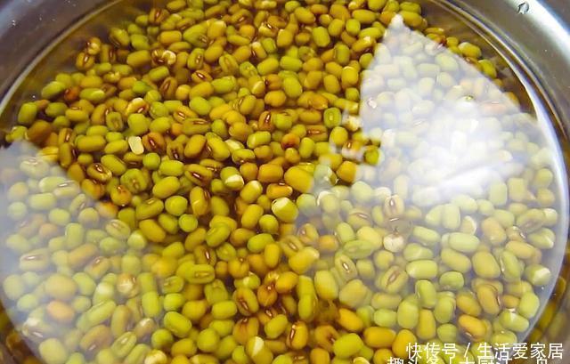 简单|吃了30年的豆芽，原来发豆芽这么简单，几天就能吃，先收藏了