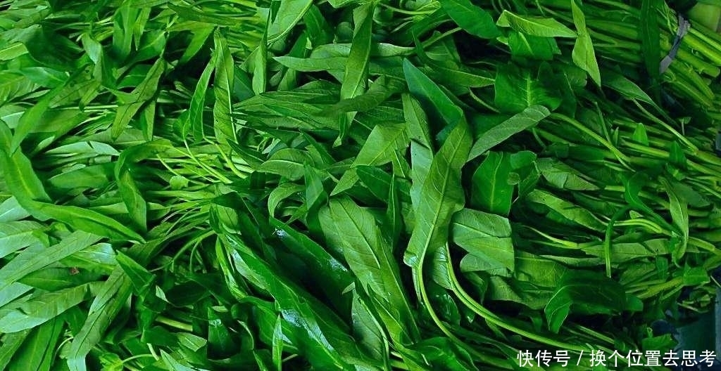 中国|这种“菜”中国不稀罕,在美国却卖到断货,甚至比肉还要贵!