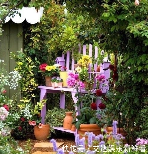 暮年|你我暮年,有个小院,足矣!