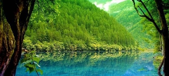 励志|几句励志心灵鸡汤,写在心里,为你一个人