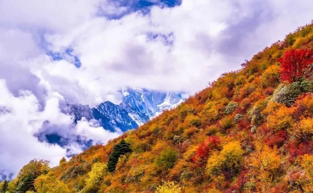 雨崩|近年大热的梅里北坡徒步,你可知它不止一条坡均小环线