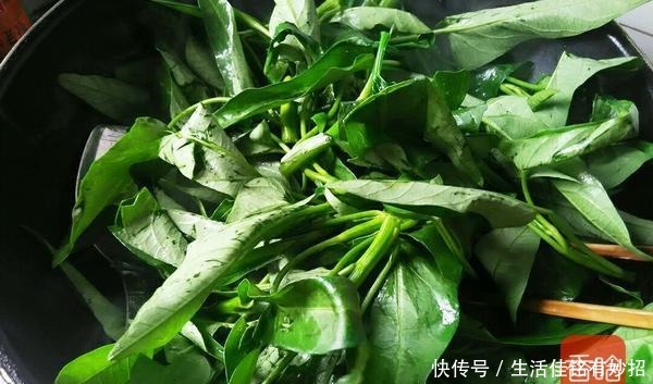 能手|这菜堪称是“补钾小能手”!清热祛湿营养高,秋季遇见要常吃