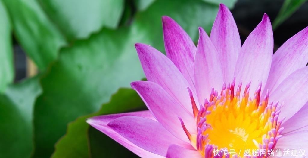  成就一番|最大气的3星座，有远见，有眼光，深谋远虑，能成大事