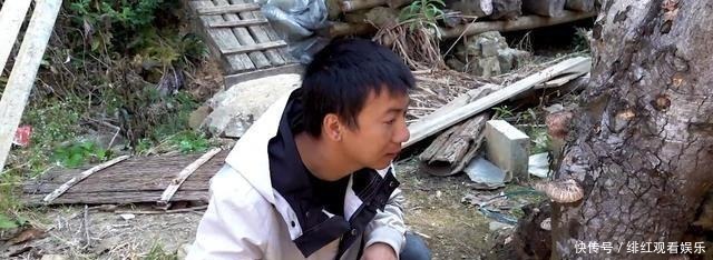 疫情|华农兄弟最终选择告别竹鼠,B站大佬不得不在疫情下低头