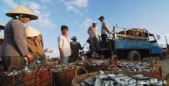 罗氏虾|越南“白脚虾”多到吃不完,国内一斤50元,想卖到中国却被拒绝