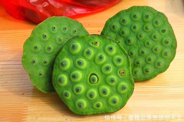  河南省|河南省民权县任庄国家湿地公园快来看，这里的千亩荷花开了