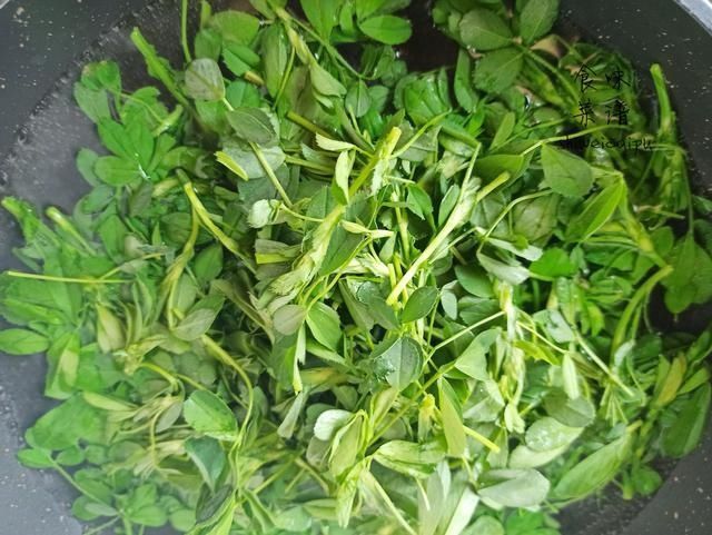 春天|春天碰到这野菜别犹豫,我一买就是20斤,营养价值高,常吃身体好