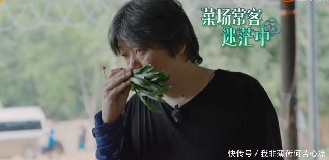 菜市|这次黄磊做的饭真难吃了,席间无人问津,何炅都不想捧场