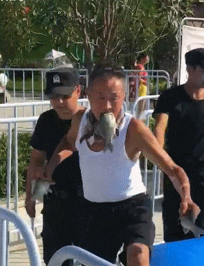 搞笑|搞笑GIF:大爷你觉得它俩谁会赢?