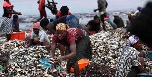 当地|非洲人缺衣少食饿得干瘦看完当地菜市场后怪不了别人
