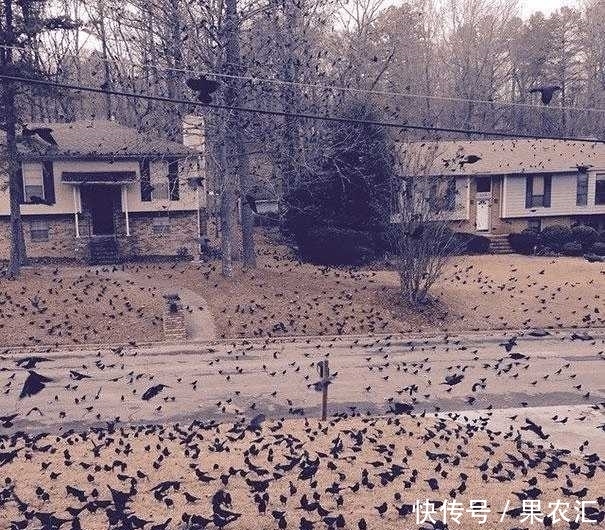 觉醒|8张「一觉醒来世界怎么变了」的照片