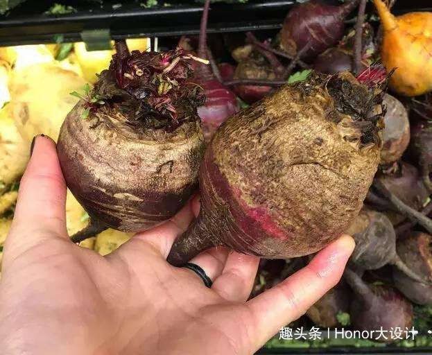 食用|印度特有的3种水果,印度根菜、变色果、一号芒果,见过的人不多