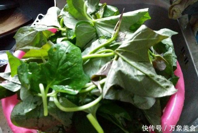 吃法|被称为“蔬菜皇后”的一种乡野菜,茎叶都有不同吃法,答案来了