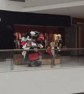 GIF|搞笑GIF：小鱼干给朕藏哪啦？这都不是朕的小鱼干！这货真是贱贱的啊！