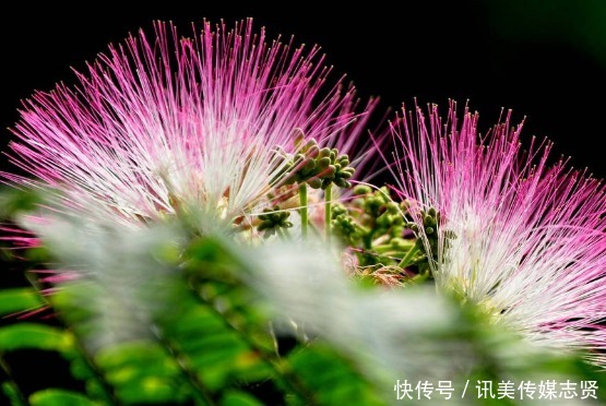 美满|进入9月中旬，4属相运势更上一层楼，财源滚滚，生活富足美满