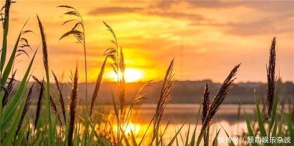 爱太多|不要想太多,不要爱太多,不要睡得太晚