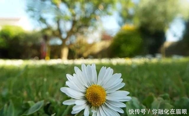 懂得|在你的有生之年,和认识你的人在一起。不管是朋友还是情人