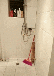 尾焰|搞笑GIF:飞机尾焰挺好看