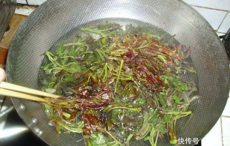 大厨|香椿焯水引争议,到底需不需要呢大厨来告诉你,可别再做错了