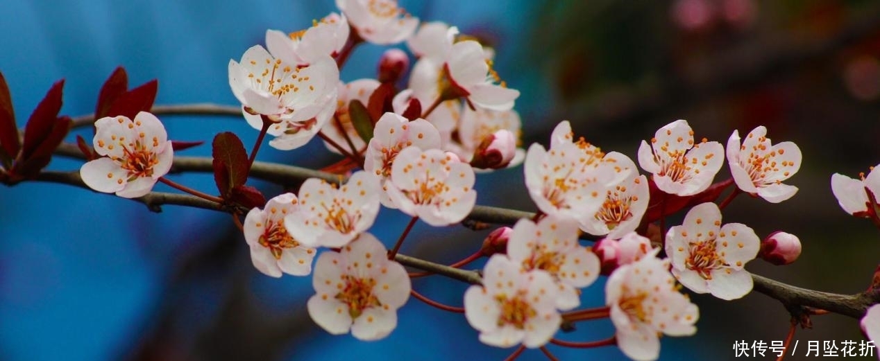  逆风|不要着急结婚的几星座，遇到真爱不放手，逆风翻盘收获美好姻缘