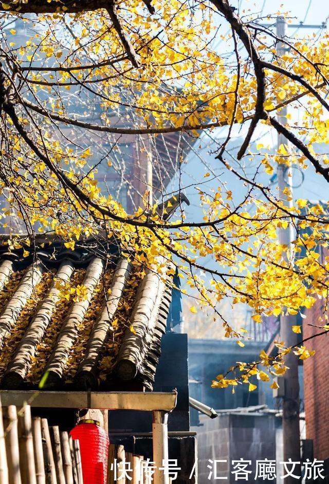  西双版纳|这个被各大热门综艺独宠的宝藏省份，真是仙到要疯！