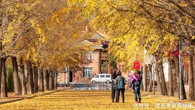 看过|看过太多的海,仍为这座“北方明珠”着迷