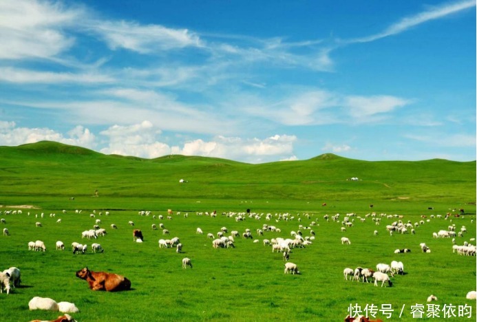 舌尖|舌尖上的内蒙,从一头羊开始, 你吃过几种做法?