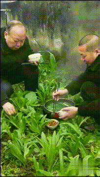 GIF|搞笑GIF:求求你了,让我吃点吧,不然的话我就抢了啊