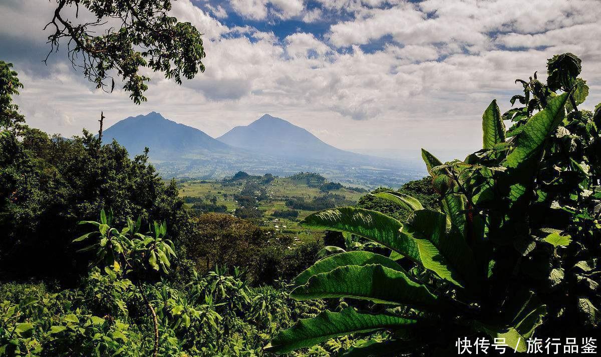  森林|世界“最贵”最难进的公园, 门票近万元仍一票难求, 公园竟在非洲!
