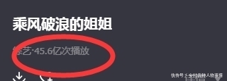 原因|《新手驾到》悄无声息的糊了?三点致命原因沦为“小糊综”