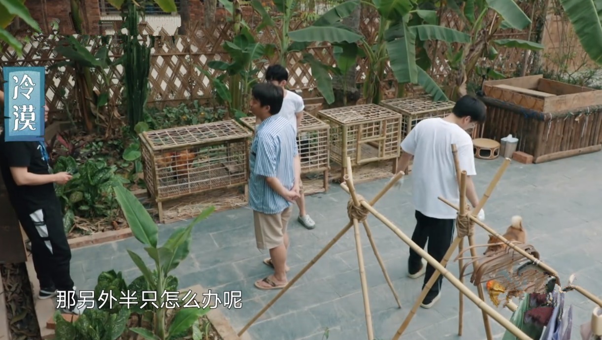 何老师|一只鸡要十捆香蕉!黄磊拿板砖“威胁”导演,周迅调侃彭彭太自恋