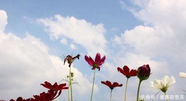 男朋友|带有钱的男朋友来见父母,他们很开心,他走后父母让我跟他分手