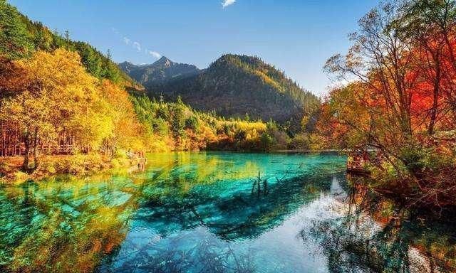 旅游|人间仙境的九寨沟美仑美奂,它的“另一面,”你又知道多少