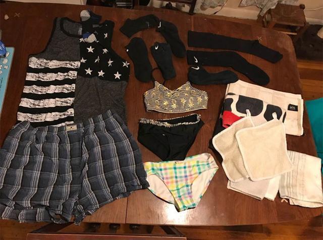  主人|猫咪爱偷邻居内衣裤，被抓后还一脸不在乎！主人惭愧道歉