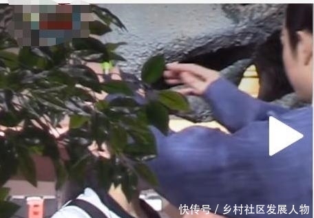  吃醋|罗晋帮女助理整理衣帽，暧昧打闹亲密挽手，网友：唐嫣不吃醋吗