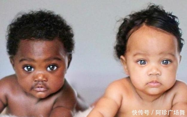 遗传|有种“不公平遗传”叫佟丽娅姐妹,一个美若天仙,一个泯然众人