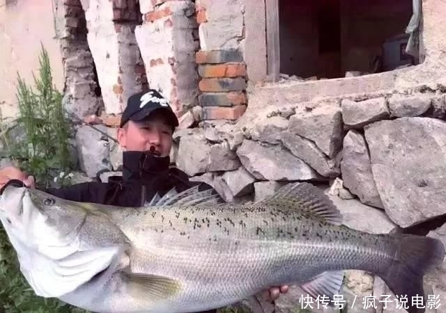  如今|曾入侵我国的非洲“鱼王”，如今过得怎么样了?鱼王：我太难了