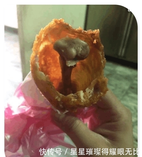 不好意思|女子外卖点了一个鸡腿, 咬了一口后欲哭无泪, 商家: 不好意思, 太像了