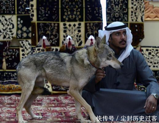  婚纱|有情人终成眷属：68岁沙特王子花3.2亿娶25岁美娇娘，惊艳世人