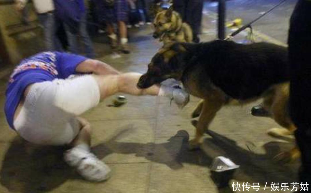 疫苗|狂犬疫苗为何无效?男孩被咬13天后去世,差两天注射第四针