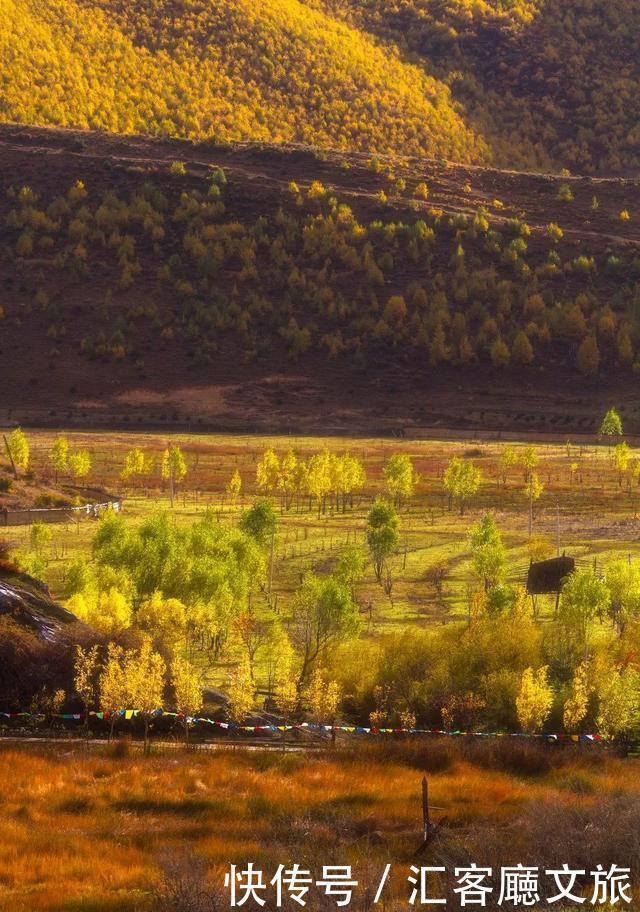  西双版纳|这个被各大热门综艺独宠的宝藏省份，真是仙到要疯！