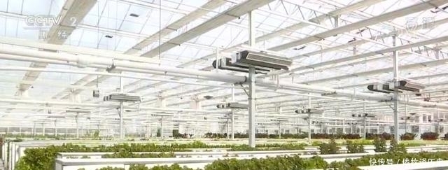 央视|快看,无土栽培上央视了